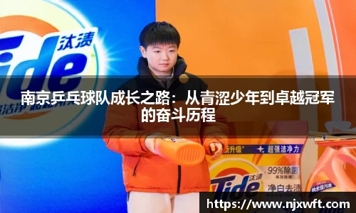 米乐yy易游